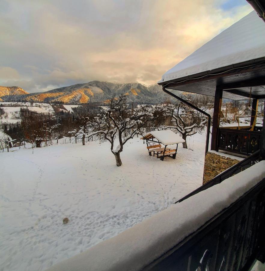 Casa Mesterului Sohodol  ภายนอก รูปภาพ